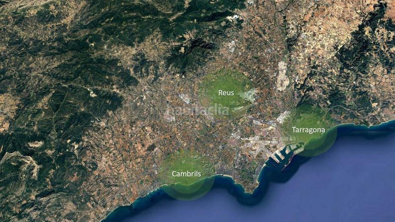 Foto ac07d295-20a6-44c6-be85-dc33024e65db. Finca rústica a Los Realejos pueblo Realejos (Los)