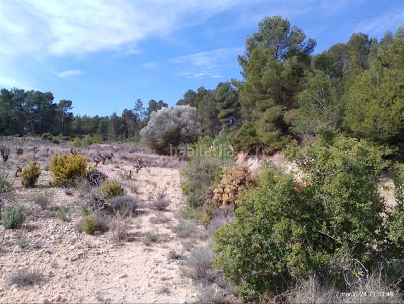 Foto e6a5804c-823a-4297-babe-a86095a2cc84. Bâtiment à usage industriel dans Requena