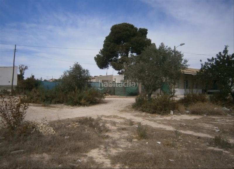 Foto 4783006a-1a22-46c3-a443-9852a83b71a4. Finca rústica a El Toscar Elche / Elx