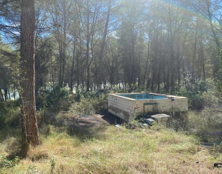 Foto fd6f2a80-036f-41e3-8d90-6ba151cf5ae9. Chalet solvia inmobiliaria chalet independiente en Castellet i la Gornal