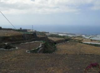 Finca rústica  Finca vuelta grande. Solvia inmobiliaria  suelo rústico guía de isora