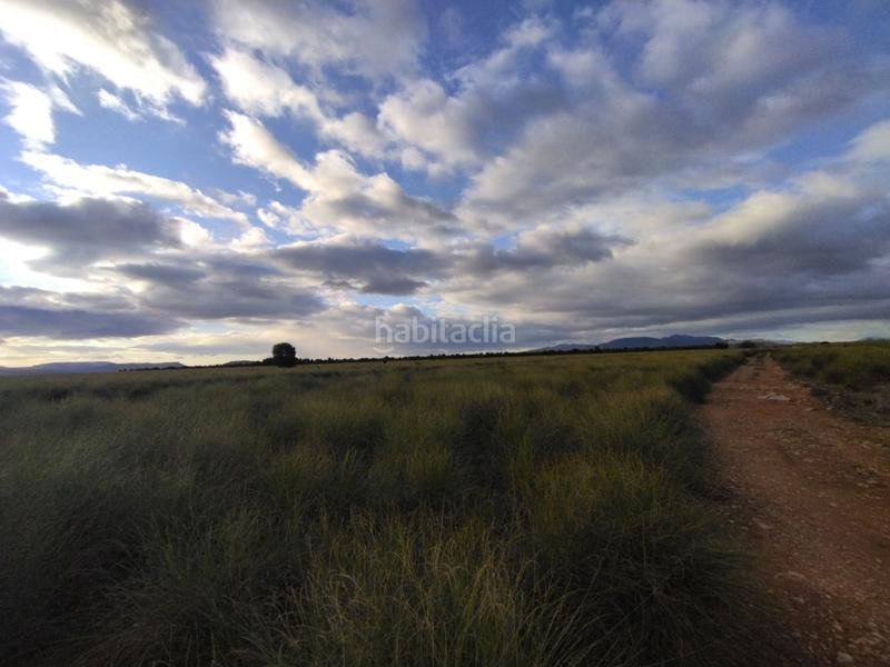 Foto 0af37bca-b6dd-4685-89fc-1abf93f80f8f. Finca rústica a Cieza