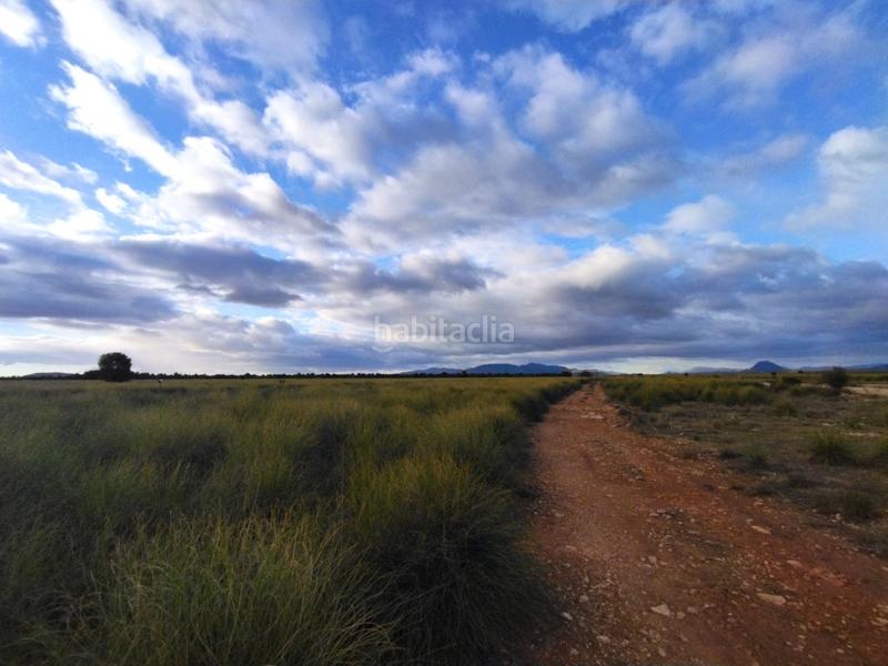 Foto 47c22307-6393-43cc-a124-d3593ac2c262. Finca rústica a Cieza