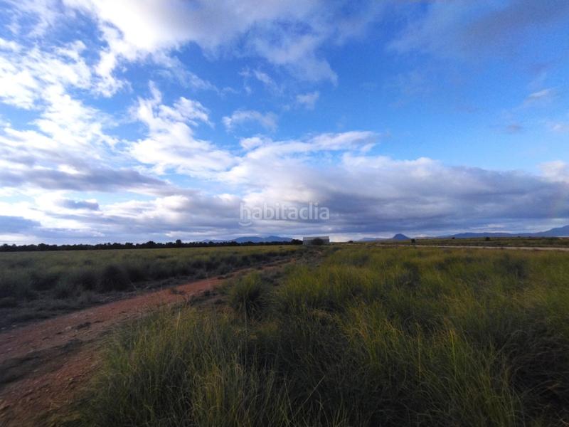 Foto 68f21619-bce1-441e-9f82-b889e53a1a98. Finca rústica a Cieza