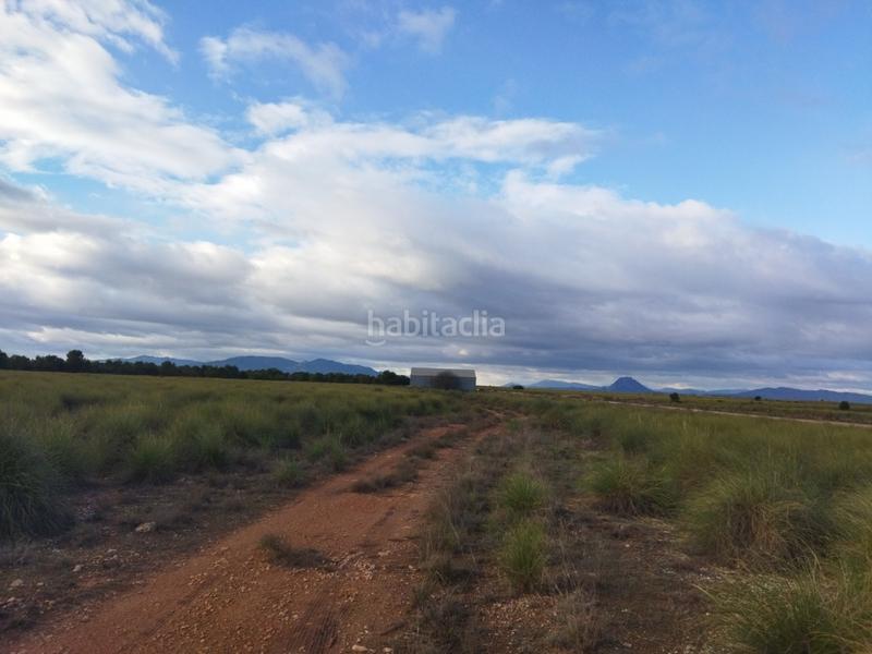 Foto 6a97a647-322f-4fce-b48f-4f08a358a010. Finca rústica a Cieza