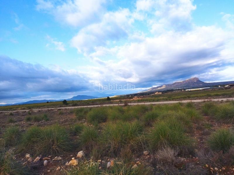 Foto a6a8afb4-7231-400f-a0aa-b76835455ca8. Finca rústica a Cieza