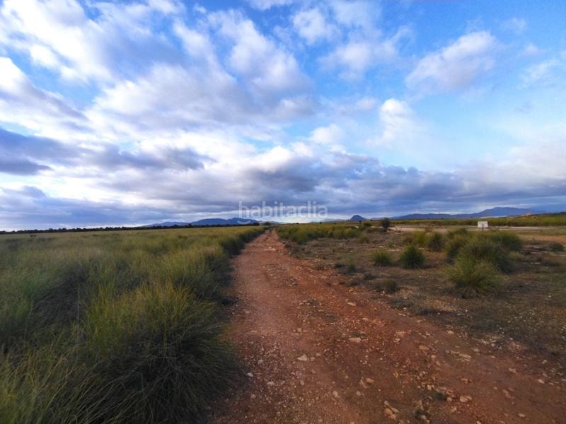 Foto ca0b39a1-7118-455d-9b30-7601668892e0. Finca rústica a Cieza