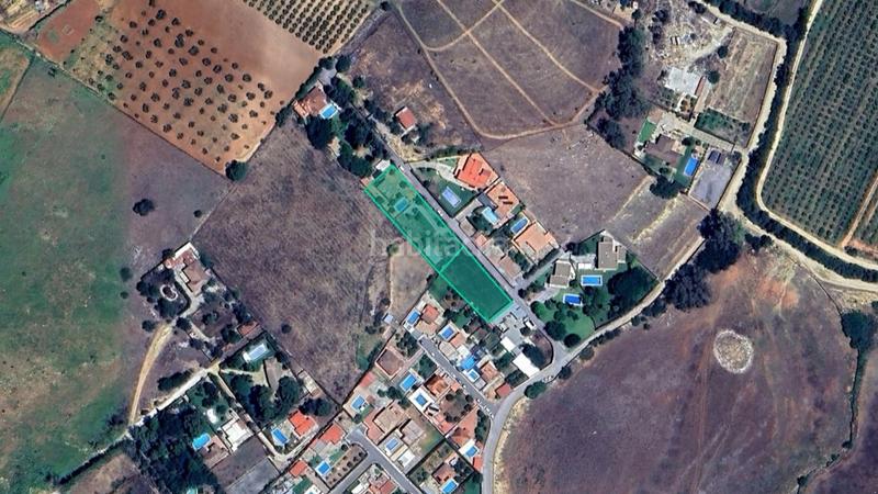 Foto 800b8d90-8c52-45da-ad01-050b2d0b2d7e. Propriété dans Nueva Alcalá Alcalá de Guadaira