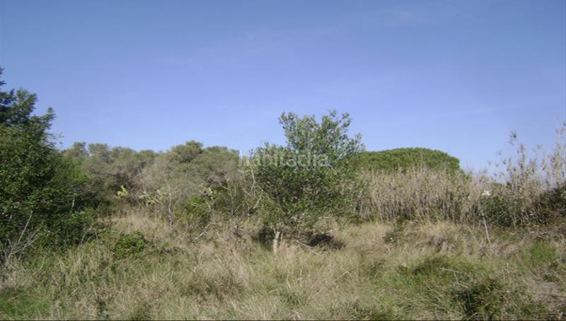 Foto 30db72b0-92bd-444e-bb0d-6d9fdedffef5. Finca rústica a Babilonia Torredembarra