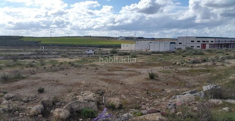 Foto a8354125-a0fc-4019-91c8-3d386750ca5a. Oficina solvia inmobiliaria suelo urbano consolidado en Mollina
