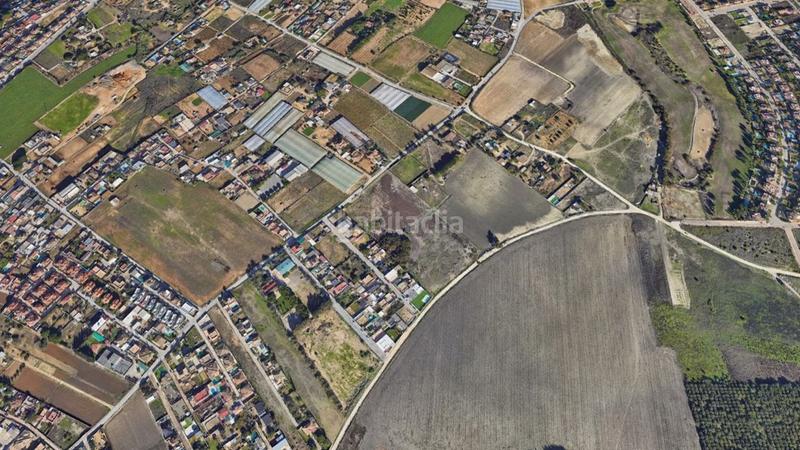 Foto 04b35176-39bf-4a0b-be50-687f93129062. Fondo rustico in Monteolivete-Camino Sevilla Sanlúcar de Barrameda