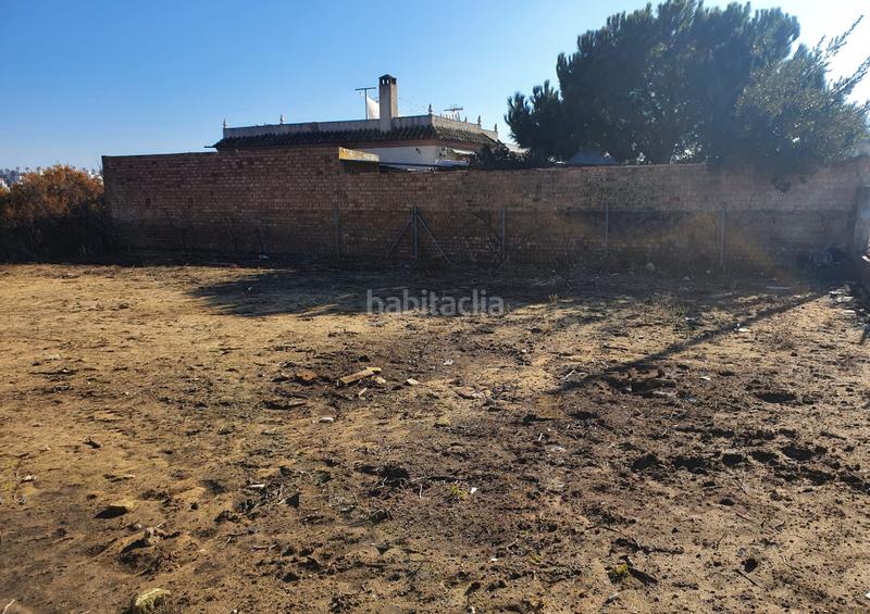 Foto 3d422ef8-8e24-4f31-9890-a3d225df5824. Fondo rustico in Monteolivete-Camino Sevilla Sanlúcar de Barrameda