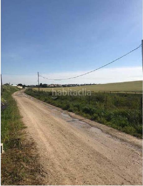 Foto b2a608c4-2223-494e-82d9-b1f42c578efa. Fondo rustico in Monteolivete-Camino Sevilla Sanlúcar de Barrameda