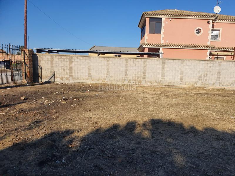 Foto b56d2575-ab86-480f-9d39-cbe7d0174a45. Fondo rustico in Monteolivete-Camino Sevilla Sanlúcar de Barrameda