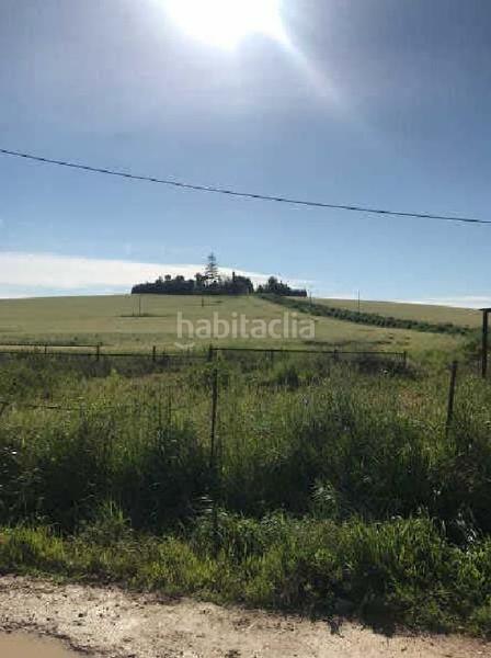 Foto f621a942-42f3-4041-9944-80afe12a8a33. Fondo rustico in Monteolivete-Camino Sevilla Sanlúcar de Barrameda