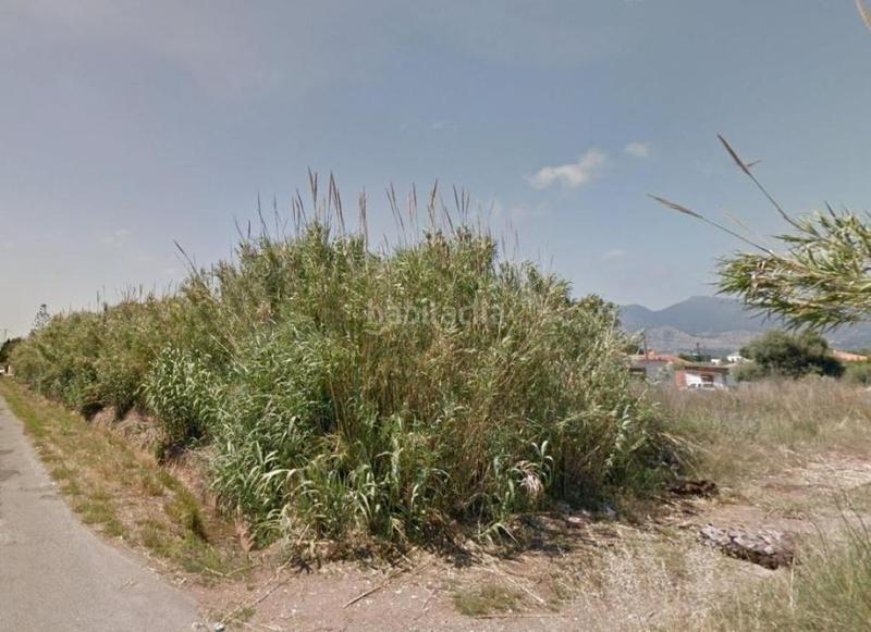 Foto ab2e6356-1a53-4644-b6e9-49b593b26288. Finca rústica solvia inmobiliaria suelo rústico castelló de la plana en Castellón de la Plana