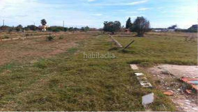 Foto 839e1b62-794e-4e2e-a3e1-33842a2bb46e. Finca rústica a La Torre-Playa de Chilches Moncofa