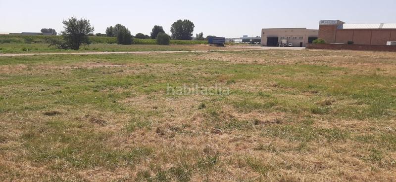 Foto d609cff0-db8f-41a4-b1a1-df6f094e7b6b. Ufficio in Golmés