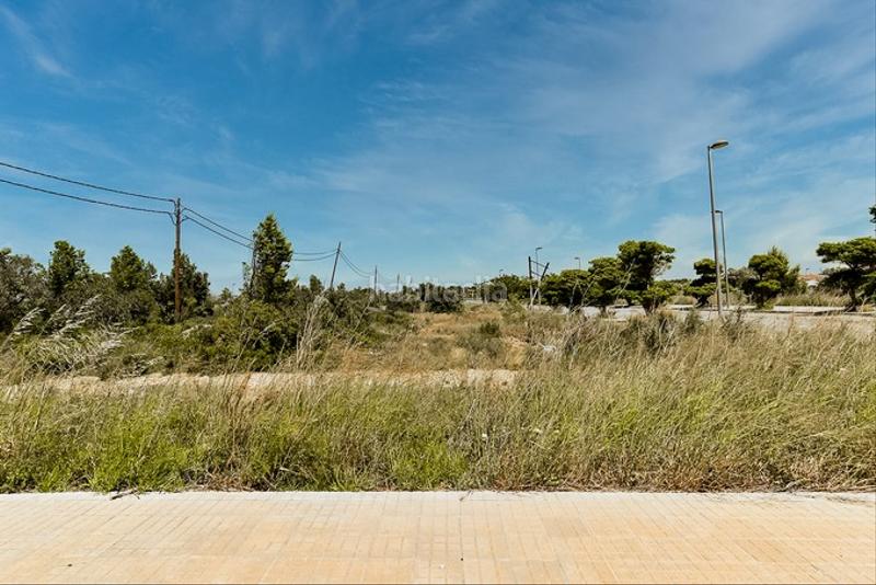 Foto 26142b93-acc8-4720-8bd1-c50684c764f9. Finca rústica a Vandellòs i l´Hospitalet de l´Infant