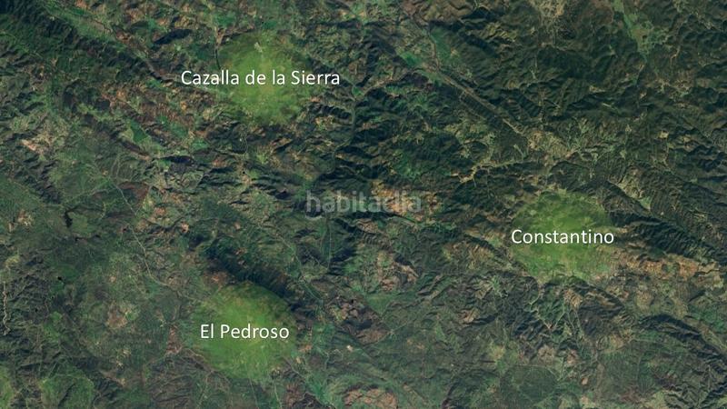 Foto 01867777-3eeb-4bfc-8954-7b72bbf60086. Propriété dans Pedroso (El)