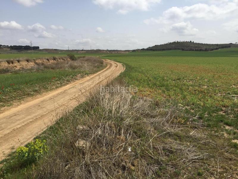 Foto 12d38b01-b3d8-4649-a683-7f0fb0cd9fe1. Landgut in Torres de la Alameda