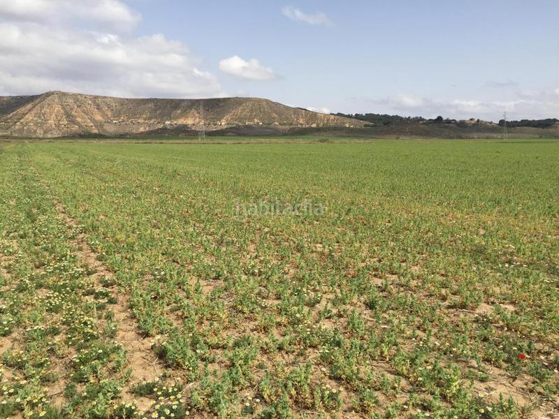 Foto 25b7f7d2-2b5b-4bb3-8dac-e87b4502832c. Landgut in Torres de la Alameda