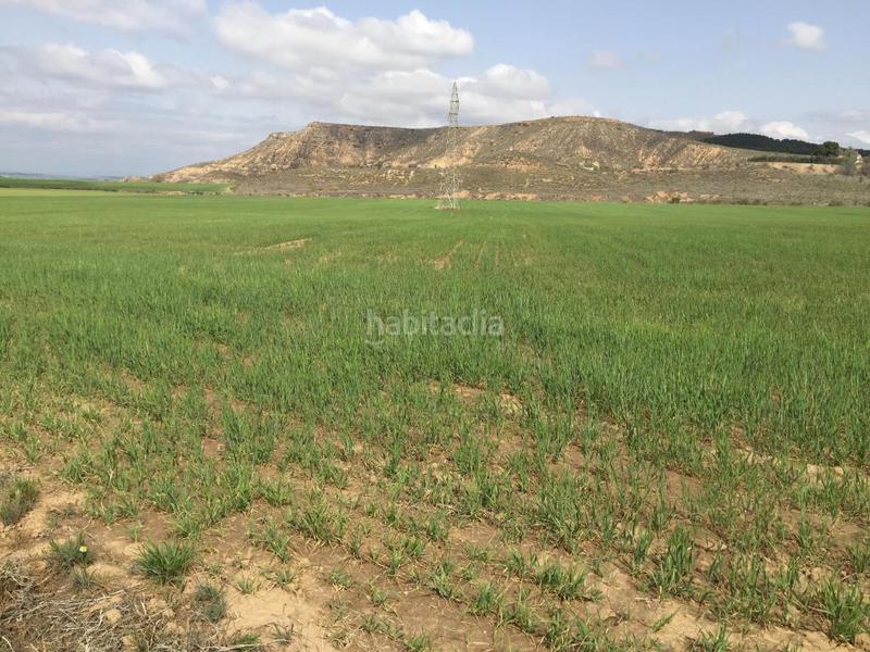 Foto 2deacd7f-fd29-4a06-853e-5d1c7301f715. Landgut in Torres de la Alameda