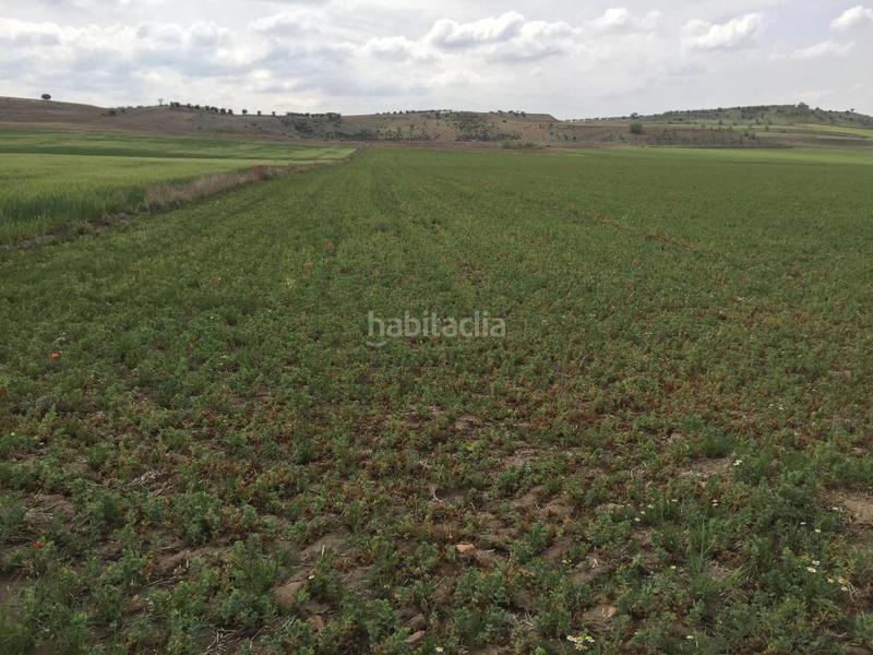 Foto 3e841784-efb9-45c3-b62c-66e64a30443a. Landgut in Torres de la Alameda