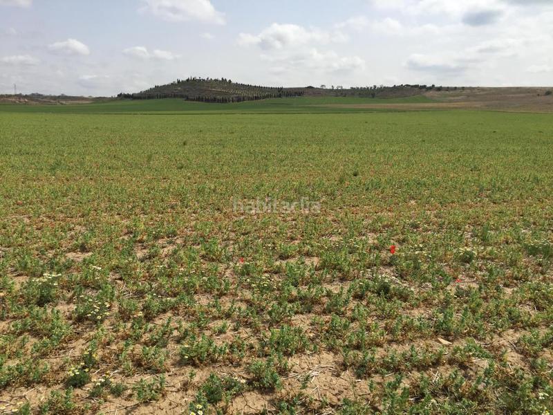 Foto 513abd0d-010d-4884-a897-158b460c57fe. Landgut in Torres de la Alameda