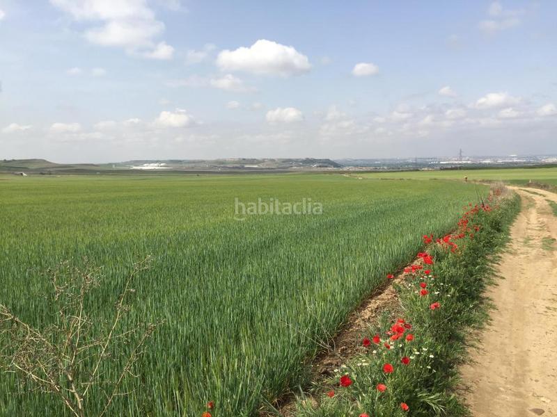 Foto 60657acd-6c8f-4116-ba87-67fe3cb11a97. Landgut in Torres de la Alameda