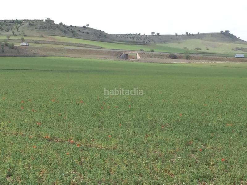 Foto 68c9a863-408d-40dd-9dc2-ef846c6fdb29. Landgut in Torres de la Alameda