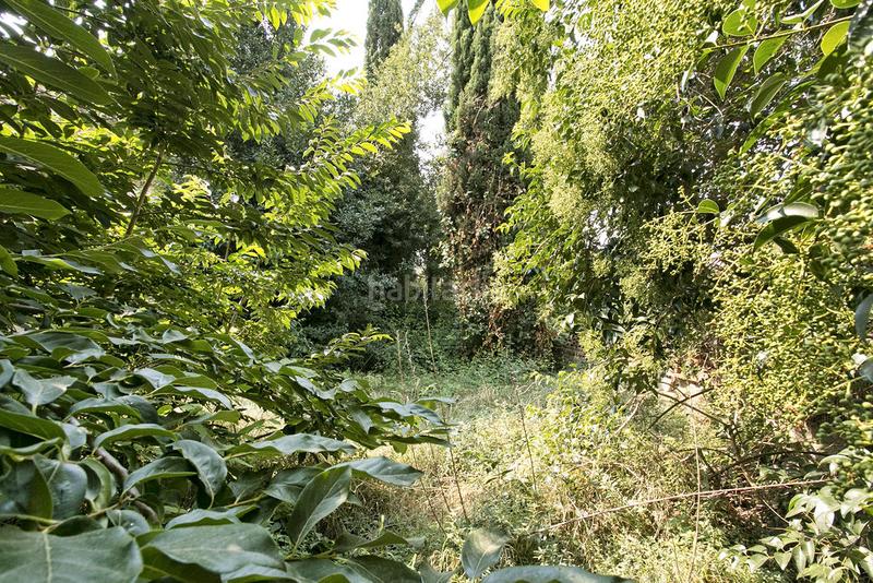 Foto 89935261-7b3d-47df-bd36-f10ce8c62cf0. Piso solvia inmobiliaria piso en Centre Igualada