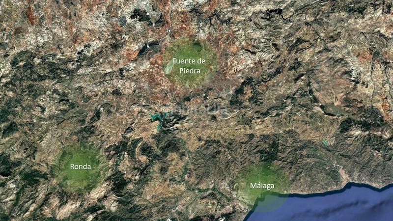 Foto 09e0e2e8-372a-4444-8172-9cae9a2649bc. Propriété dans Fuente de Piedra