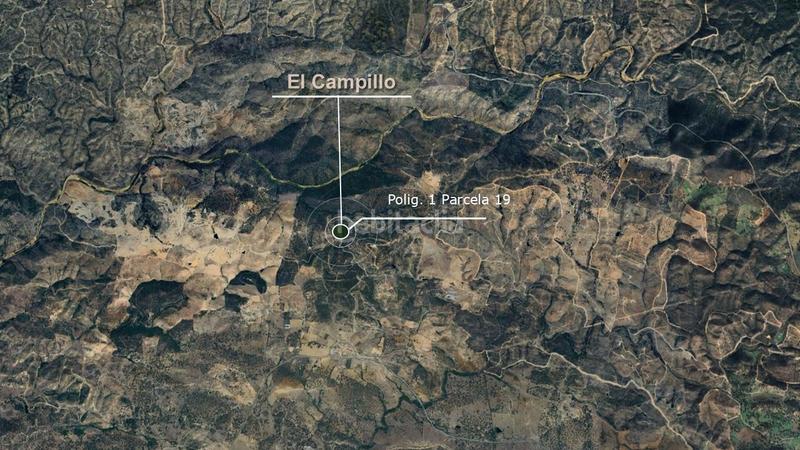 Foto 6653f6c1-e499-4a88-8436-beb10131b89d. Finca rústica a Campillo (El)