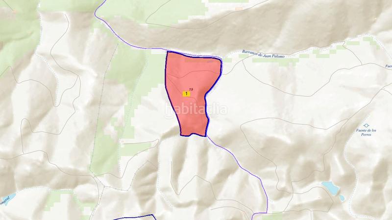 Foto ec14eb97-d445-4694-b1fb-7c94328a4869. Finca rústica a Campillo (El)