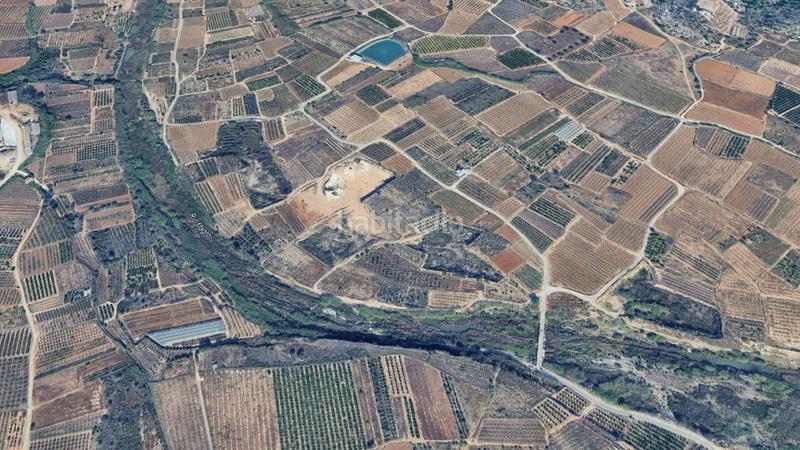 Foto c93d209e-2af1-4767-976c-0833d215ef99. Finca rústica a Llombai