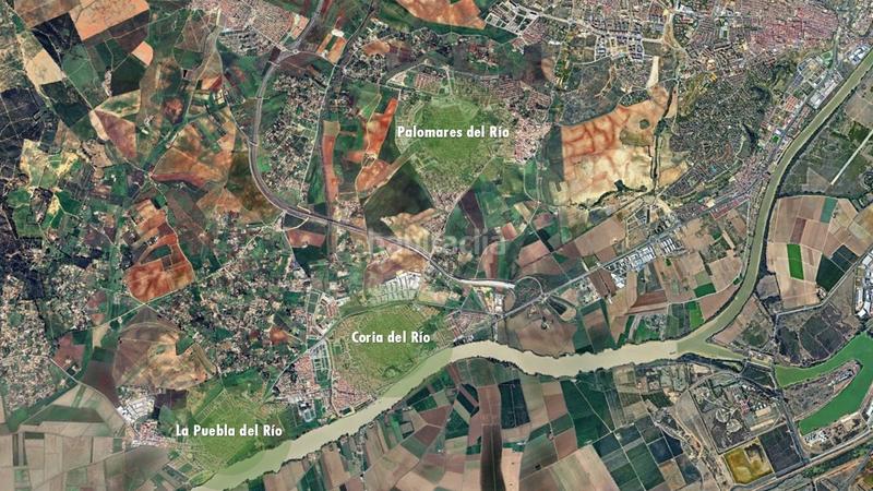 Foto 7864717b-068e-4418-93c4-96ff9c280f90. Büro in Coria del Río