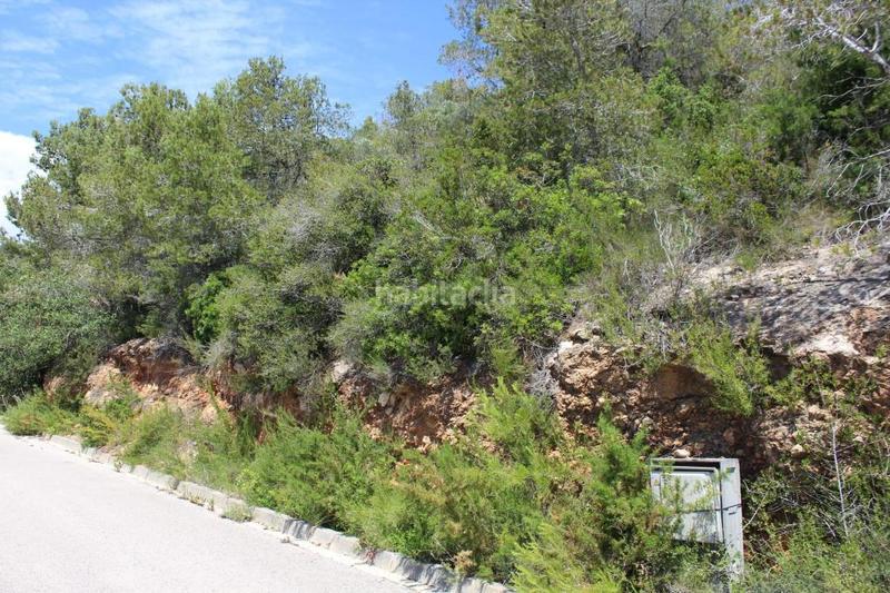 Foto deae418d-fd64-4f54-8254-efeb6f0e675c. Finca rústica solvia inmobiliaria suelo urbano en Roda de Barà