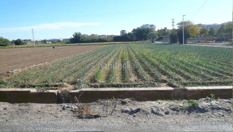Foto 0df44979-e908-4c0f-9828-6a03c29b14de. Finca rústica a Camí de Vera Valencia