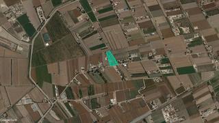 Landgut  Pt partida cebadas , parcela 345 del polígono 1 nº 51. Solvia inmobiliaria  suelo rústico dolores