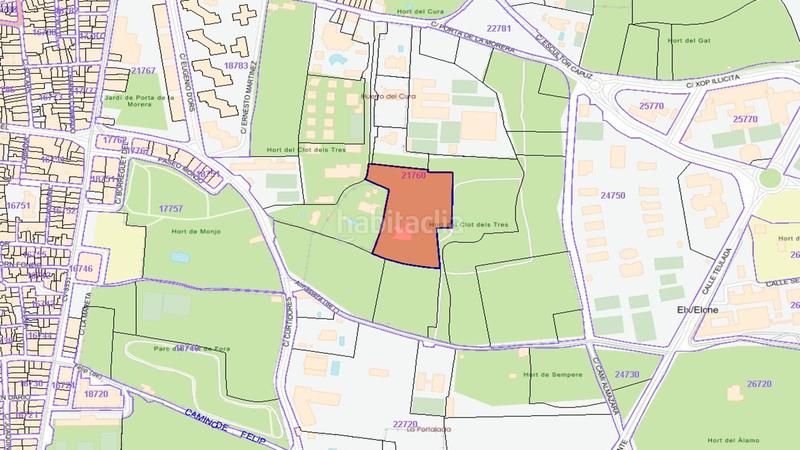 Foto 2a7bc462-7a22-468d-bfb1-eee2b6ebdf7b. Fondo rustico in Centro Elche / Elx