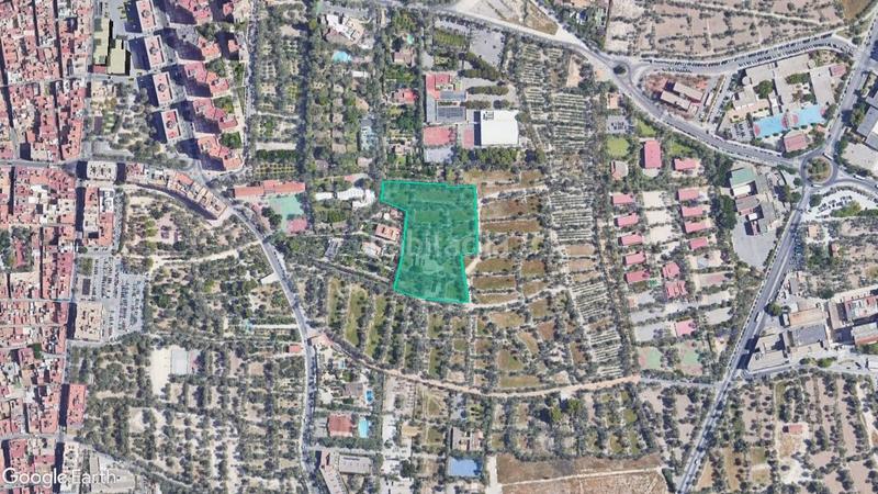 Foto bbaa8b7b-b108-427a-ac4a-fa40bca5ac81. Fondo rustico in Centro Elche / Elx