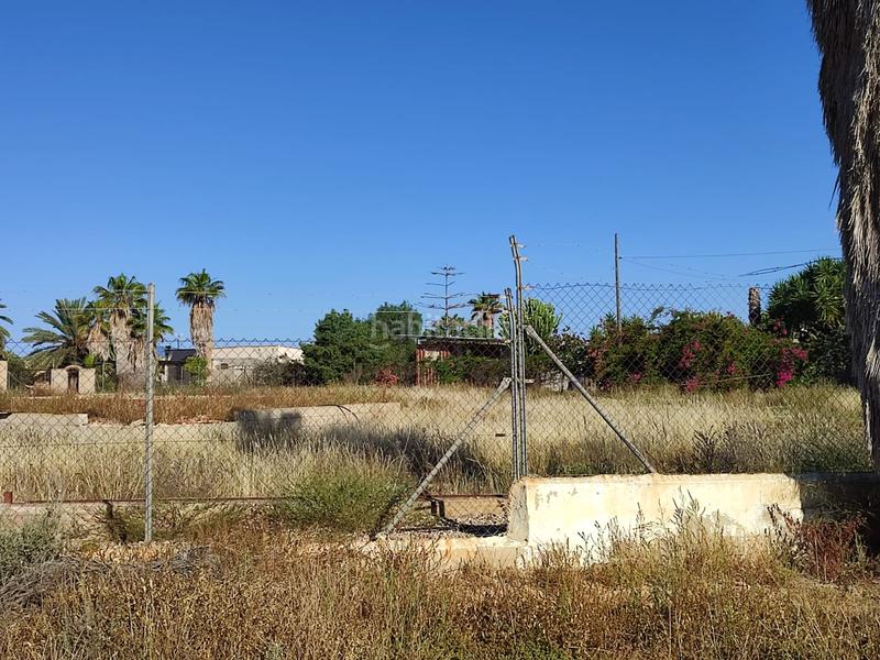 Foto 733944f0-120a-4040-b744-02e7f43d95fe. Rural plot in Gea y Truyols Murcia