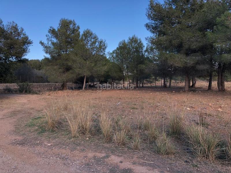 Foto 388d12b7-ab9f-418e-be94-81cc56915ee3. Finca rústica a Clarà Torredembarra