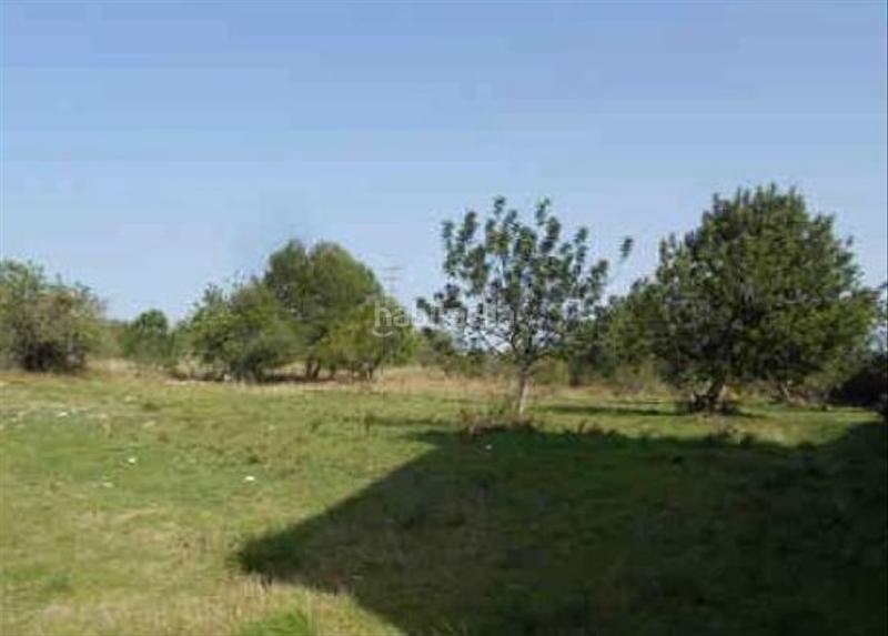 Foto 7c062b1f-d898-460f-b456-375a4e3eaac9. Finca rústica a Clarà Torredembarra