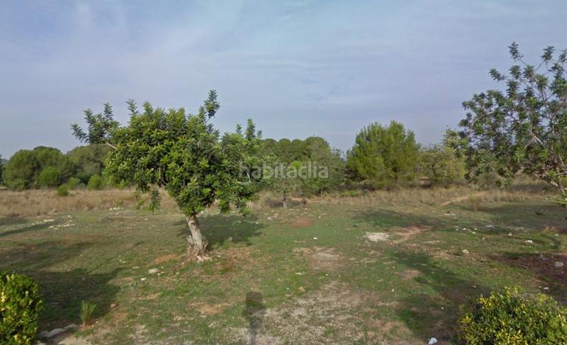 Foto 9eea7672-f9b9-486b-b0df-851a7280080a. Finca rústica a Clarà Torredembarra