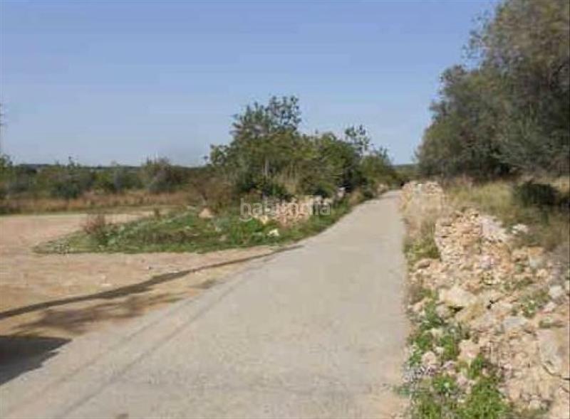 Foto d4cbc10d-af53-4491-931b-9e02202270eb. Finca rústica a Clarà Torredembarra