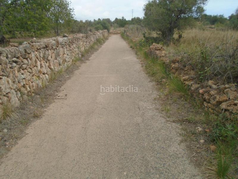 Foto 0ccf76c4-9464-4e9f-a2a7-b4f772d12812. Finca rústica a Clarà Torredembarra