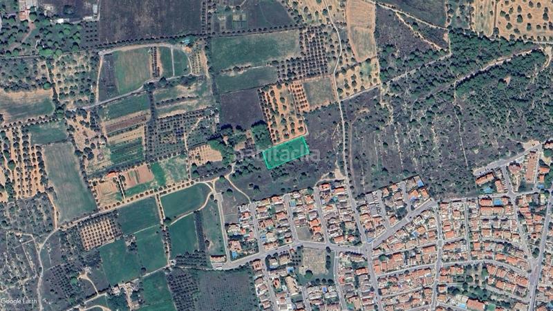 Foto 46d1055d-15ac-41d9-a400-0e18e8033d5d. Finca rústica a Clarà Torredembarra