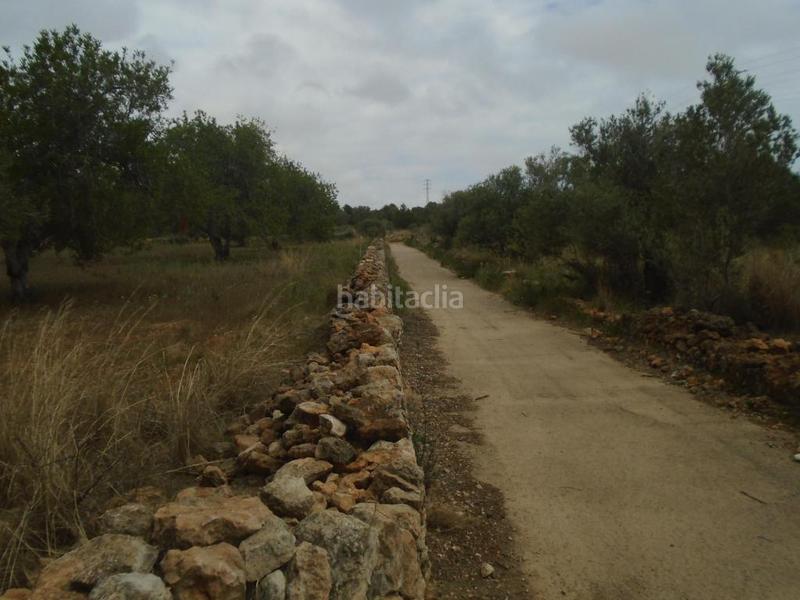 Foto 7fa1518c-f52b-4a36-8e91-b58b00624151. Finca rústica a Clarà Torredembarra